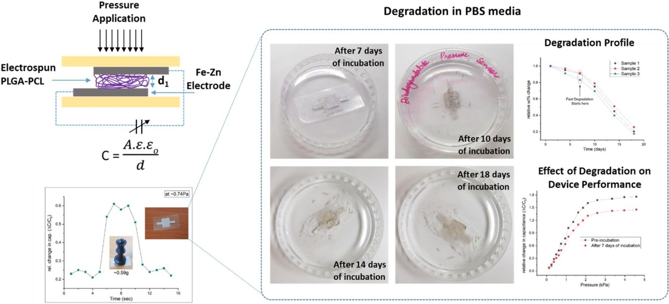A highly sensitive biodegradable pressure sensor based on nanofibrous dielectric