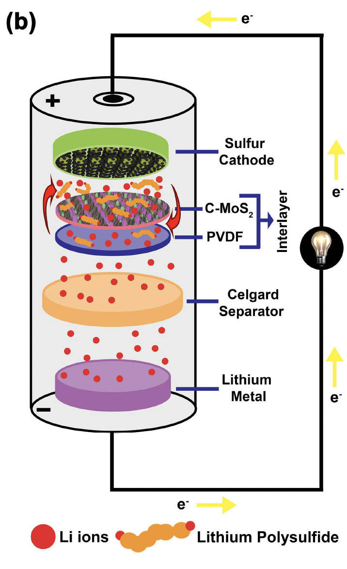 Multifunctional Cathodic Interlayer with Polysulfide Immobilization Mechanism for High-Performance Li-S Batteries