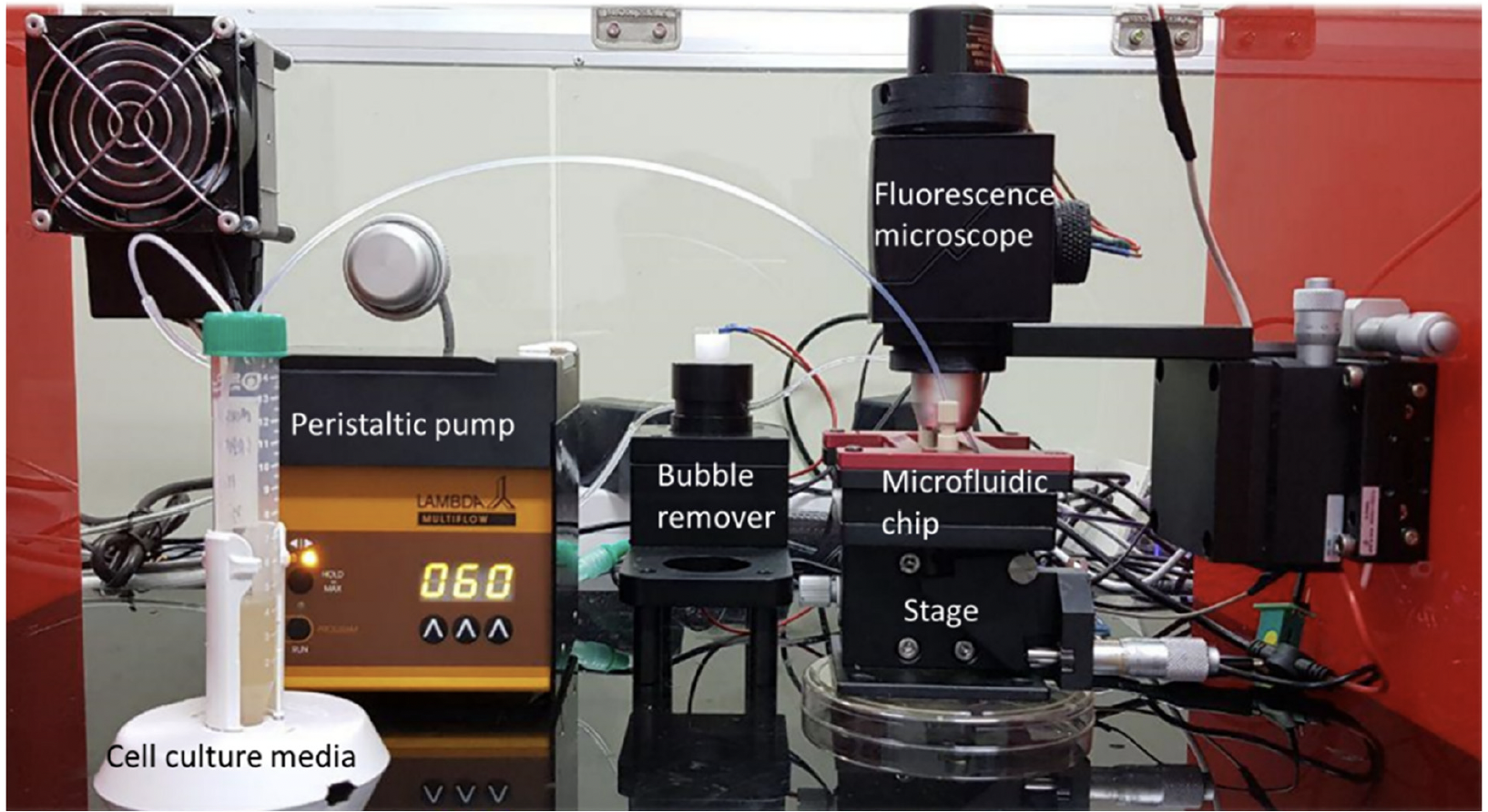 On-chip real-time detection and quantification of reactive oxygen species in MCF-7 cells through an in-house built fluorescence microscope