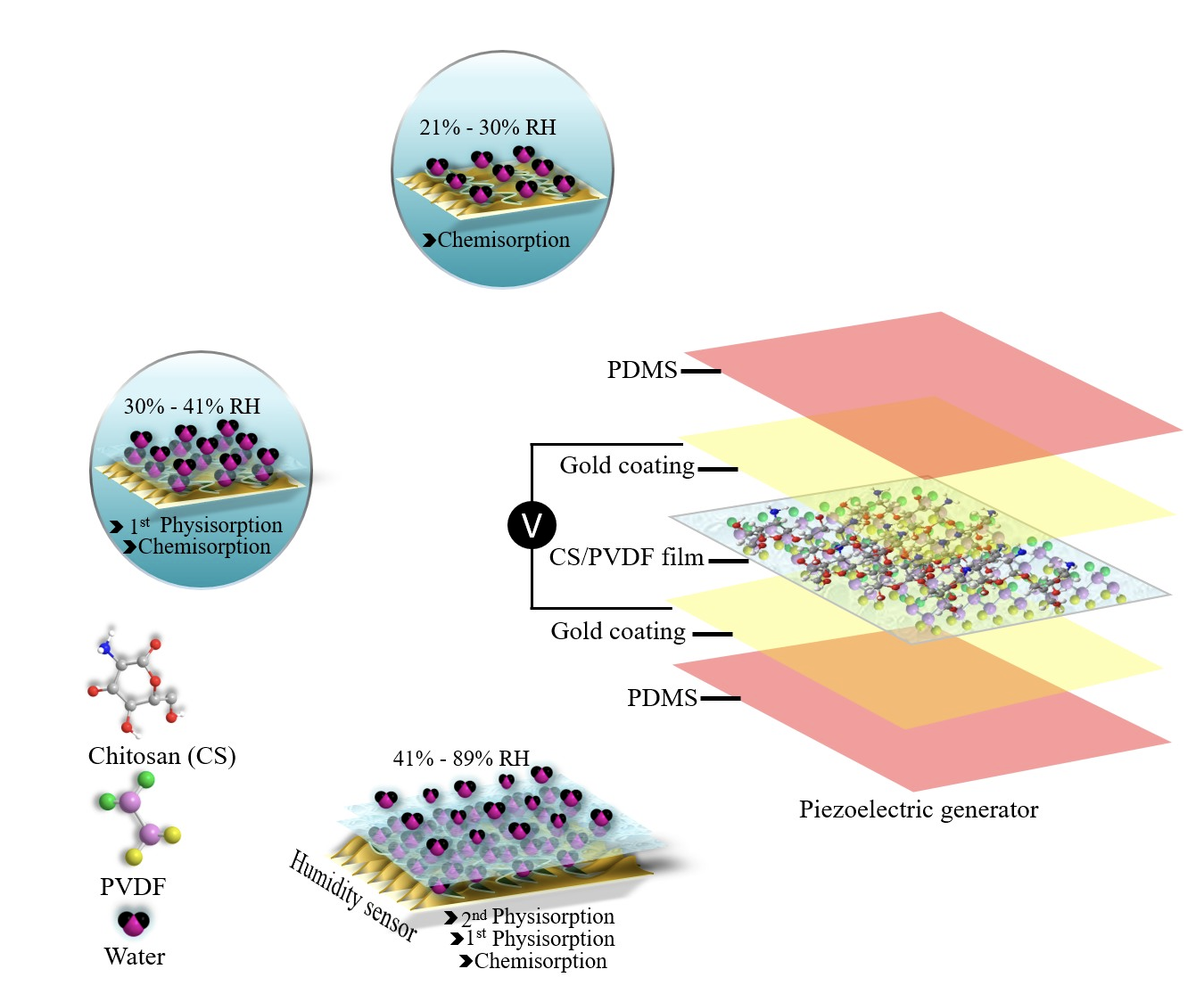 Design and fabrication of a robust chitosan/polyvinyl alcohol-based humidity sensor energized by a piezoelectric generator