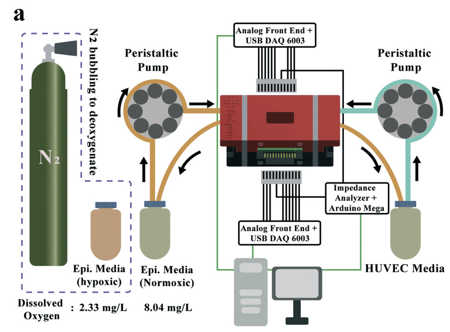 High performance inkjet printed embedded electrochemical sensors for monitoring hypoxia in a gut bilayer microfluidic chip