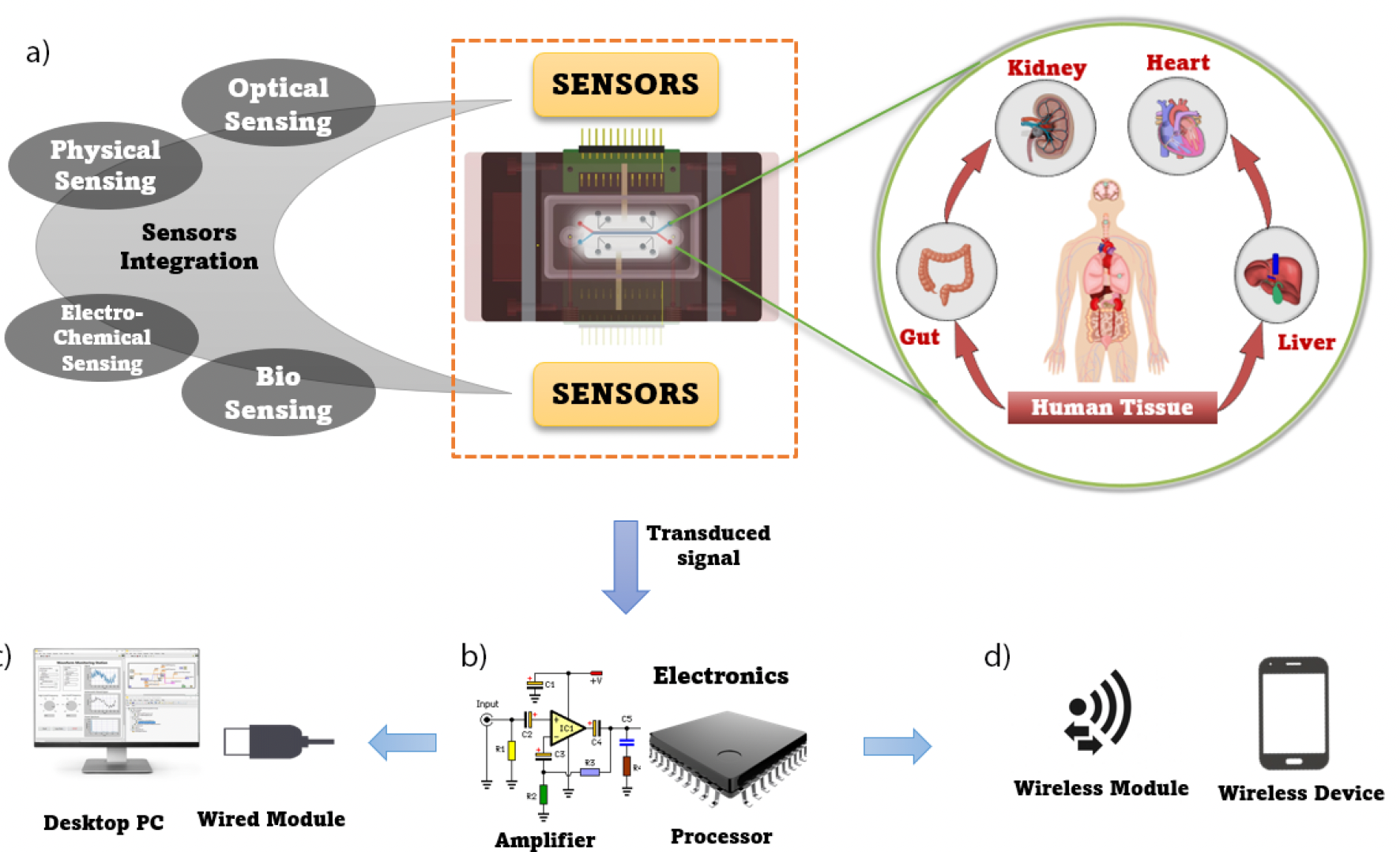 A Comprehensive review of biosensor integration in microphysiological systems for online monitoring: Current challenges and future advancements