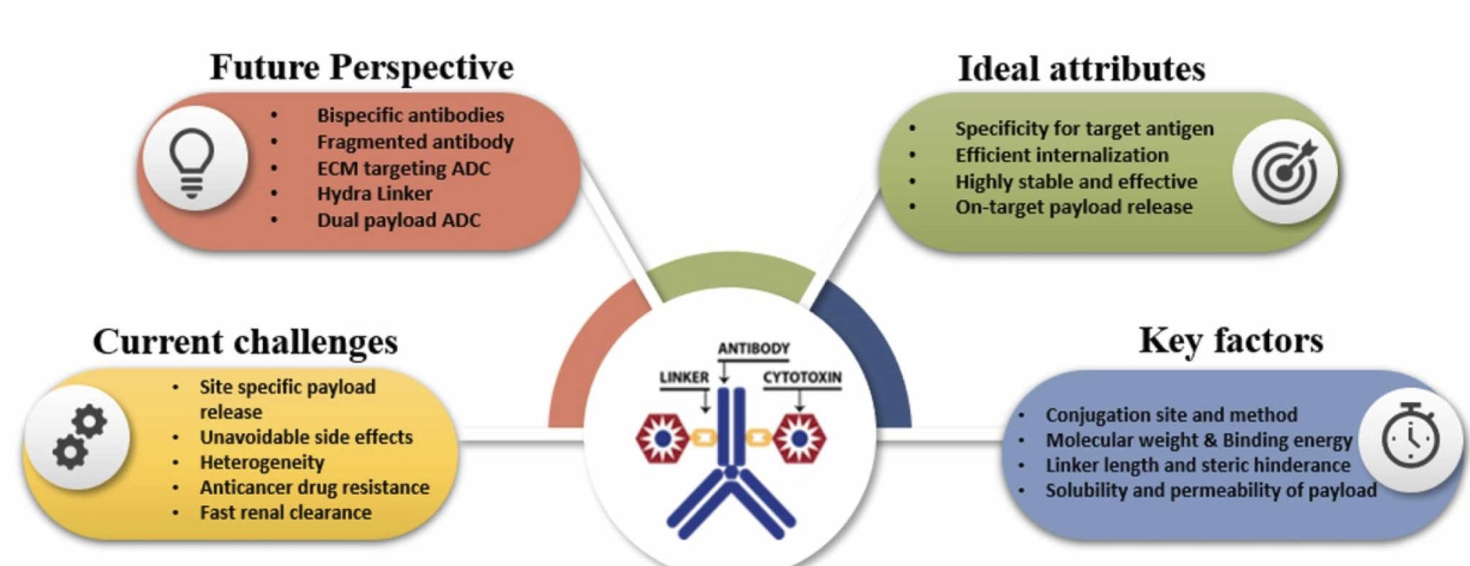 A comprehensive review of key factors affecting the efficacy of antibody drug conjugate