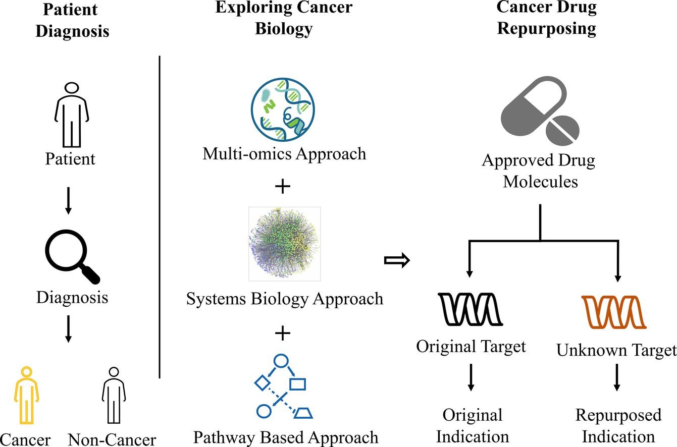 A systematic review of computational approaches to understand cancer biology for informed drug repurposing